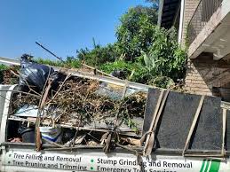 Best Property Management Cleanouts  in Tangerine, FL